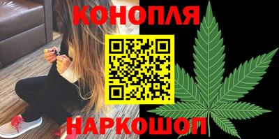 СК Тула